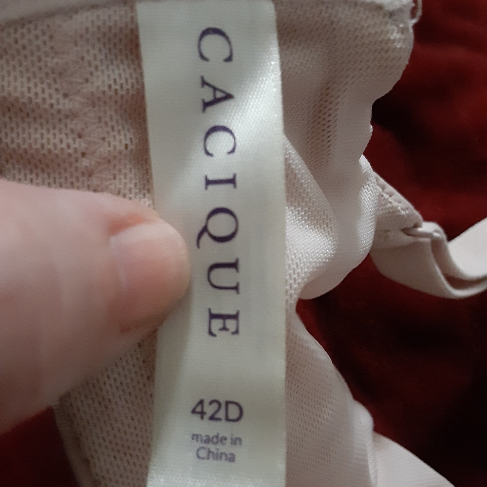 Cacique bra size 42D